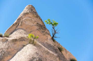 Similar image 22319209