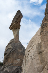 Similar image 22319216