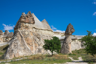 Similar image 22319218