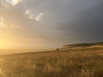 Similar image 22318474