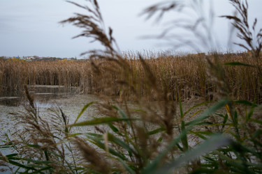 Similar image 22316430