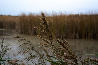 Similar image 22316431