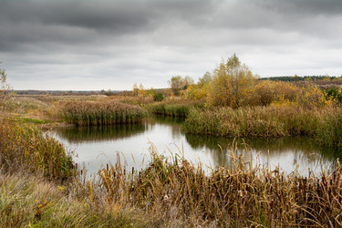 Similar image 22316432