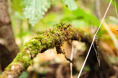 Similar image 22316434