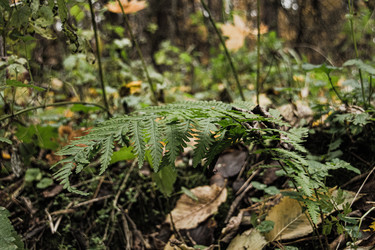 Similar image 22316435