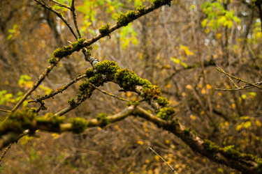 Similar image 22316436