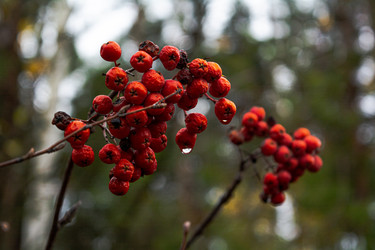 Similar image 22316437