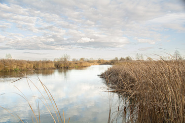 Similar image 22316440