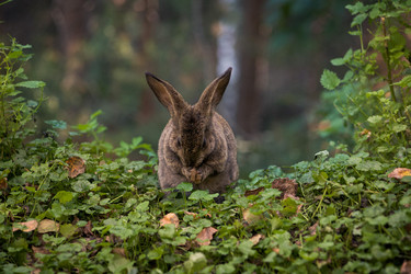 Similar image 22316092