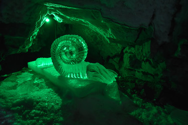 Similar image 22316093