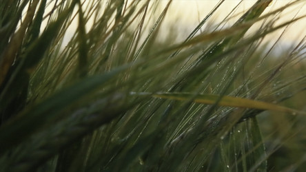 Similar image 22328435