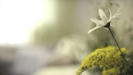 Similar image 22328441