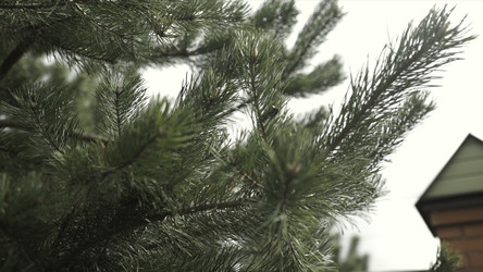 Similar image 22328752