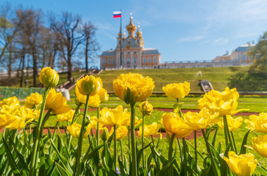 Similar image 22316107