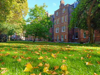 Similar image 22317349