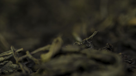 Similar image 22325554