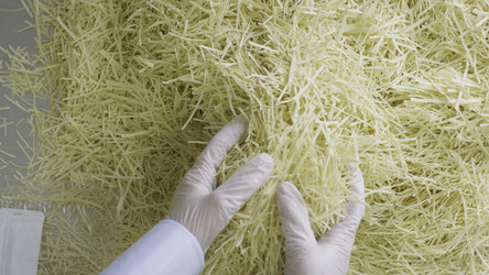 Similar image 22325559