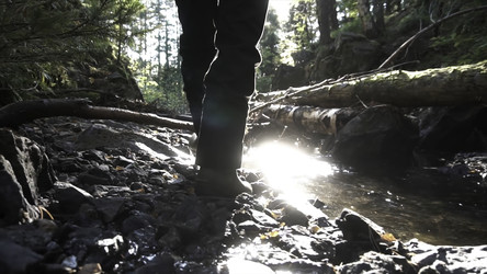 Similar image 22325873