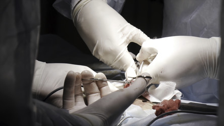 Similar image 22326106