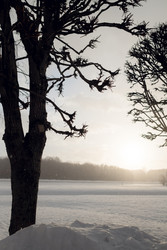 Similar image 22316109