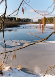 Similar image 22331608