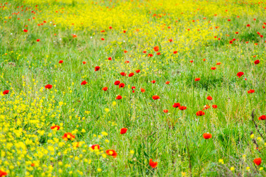 Similar image 22319229