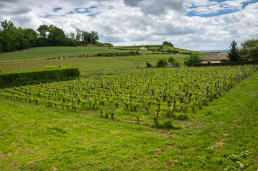 Similar image 22318968