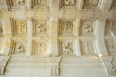 Similar image 22318974