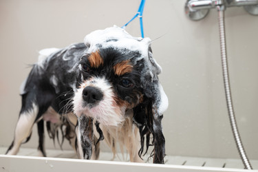 Similar image 22316455