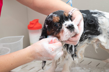 Similar image 22316456