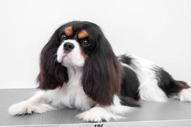 Similar image 22316459