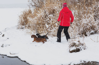 Similar image 22316464