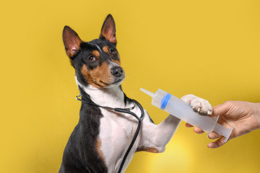 Similar image 22316465