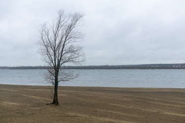 Similar image 22331820