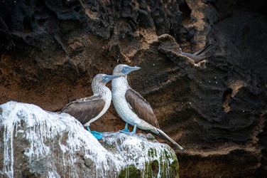 Similar image 22316110