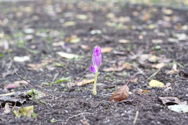 Similar image 22332809