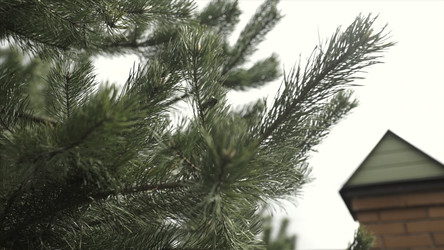 Similar image 22325567