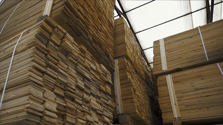 Similar image 22325569