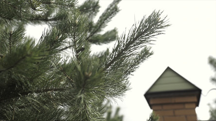 Similar image 22325571