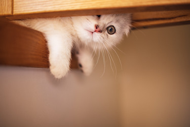 Similar image 22321209