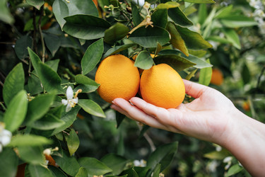 Similar image 22321218