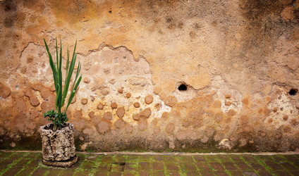 Similar image 22321229