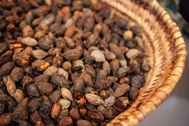 Similar image 22321241