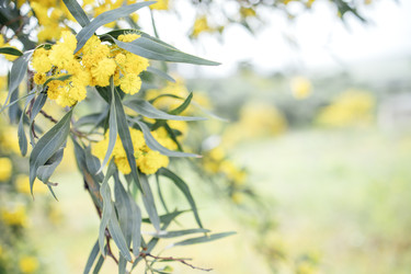 Similar image 22321242