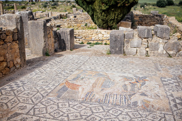 Similar image 22321248