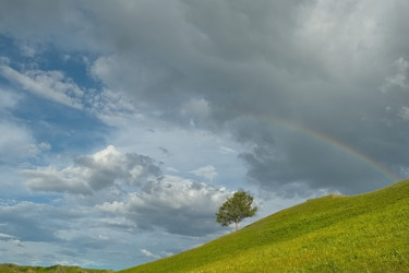 Similar image 22323631