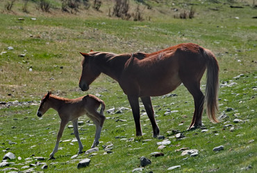 Similar image 22323635