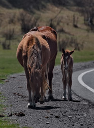 Similar image 22323636