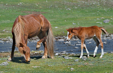 Similar image 22323637