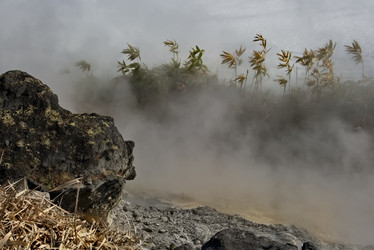 Similar image 22323649